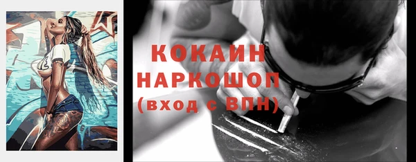 крисы Абаза