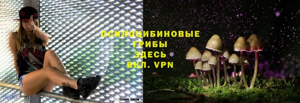 прущая мука Алзамай