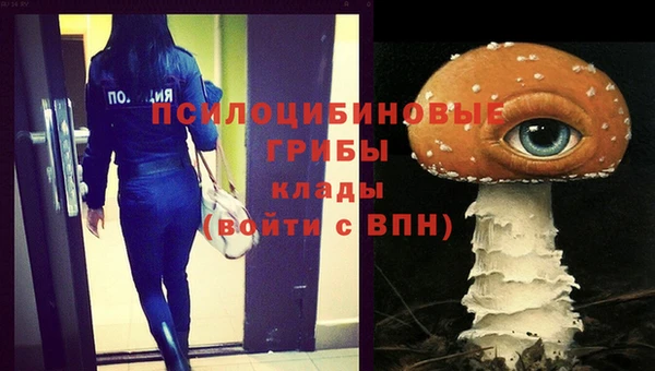 прущая мука Алзамай